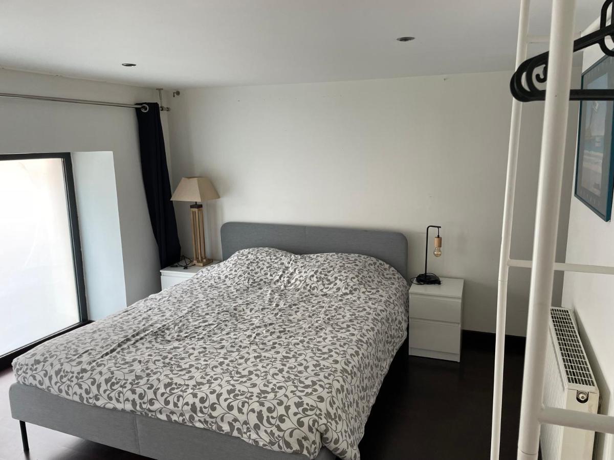 Loft Triplex 3 Chambres Doubles Villeurbanne Zewnętrze zdjęcie